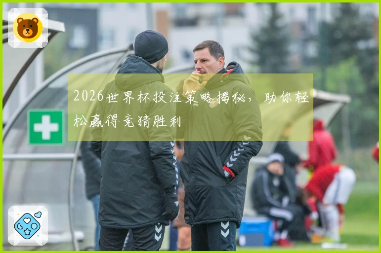 2026世界杯投注策略揭秘，助你轻松赢得竞猜胜利