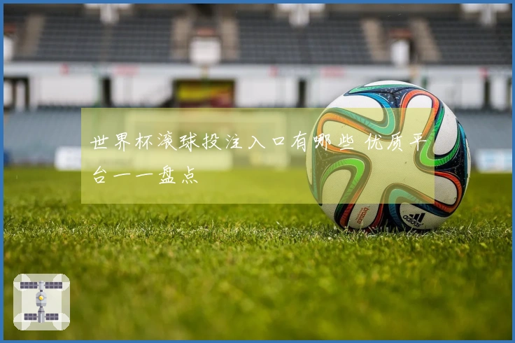 世界杯滚球投注入口有哪些 优质平台一一盘点