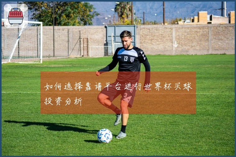 如何选择靠谱平台进行世界杯买球投资分析