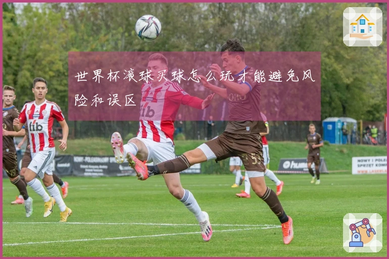 世界杯滚球买球怎么玩才能避免风险和误区