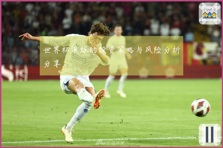 世界杯滚球的投资策略与风险分析分享