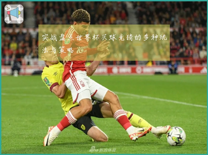 实战盘点世界杯买球竞猜的多种玩法与策略
