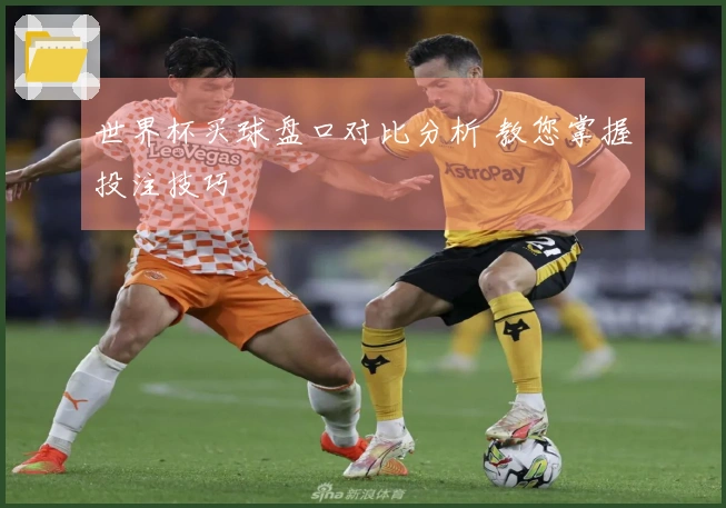 世界杯买球盘口对比分析 教您掌握投注技巧