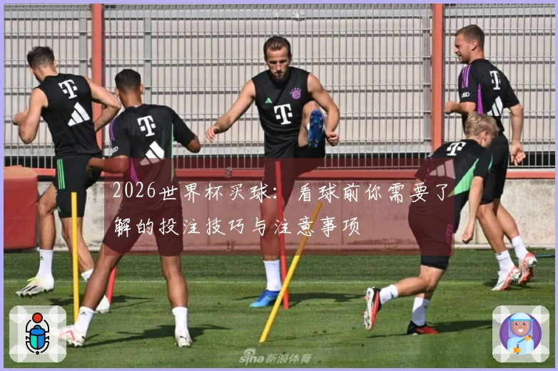 2026世界杯买球：看球前你需要了解的投注技巧与注意事项